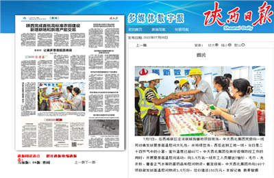437ccm必赢国际西北集团珑樾府项目高温慰问——《陕西日报》
